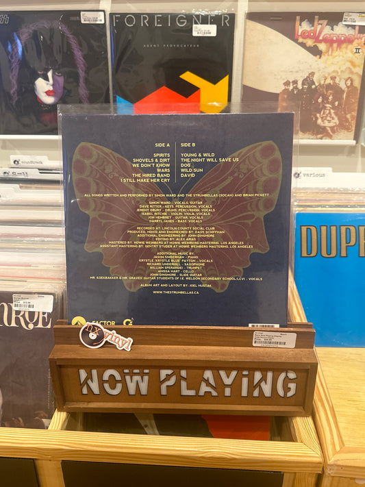 Hope - The Strumbellas(vinyl night)