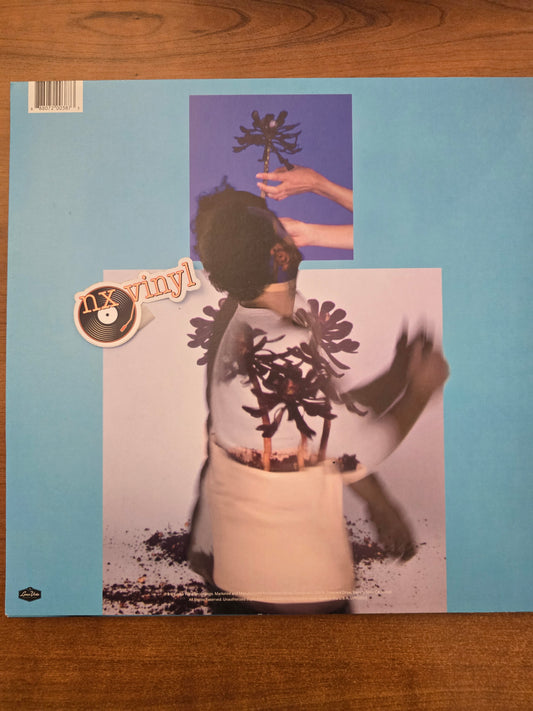 Sunlit Youth - Local Natives (indie rock)