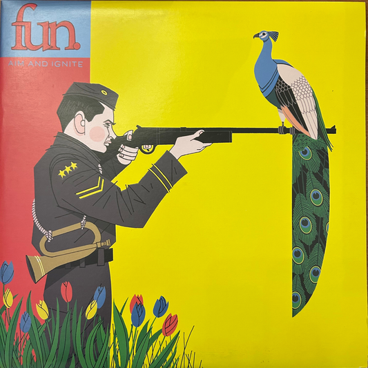 Fun - Aim & Ignite