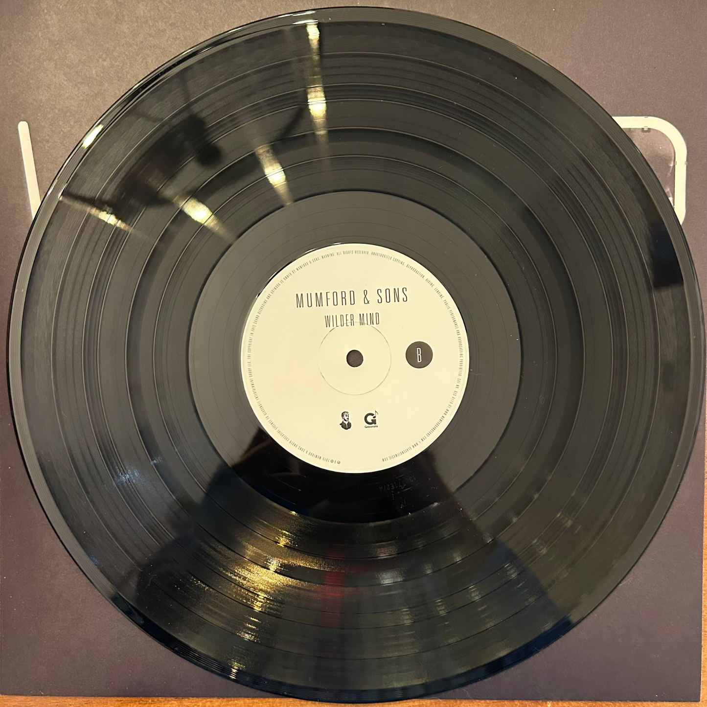 Mumford & Sons - Wilder Mind