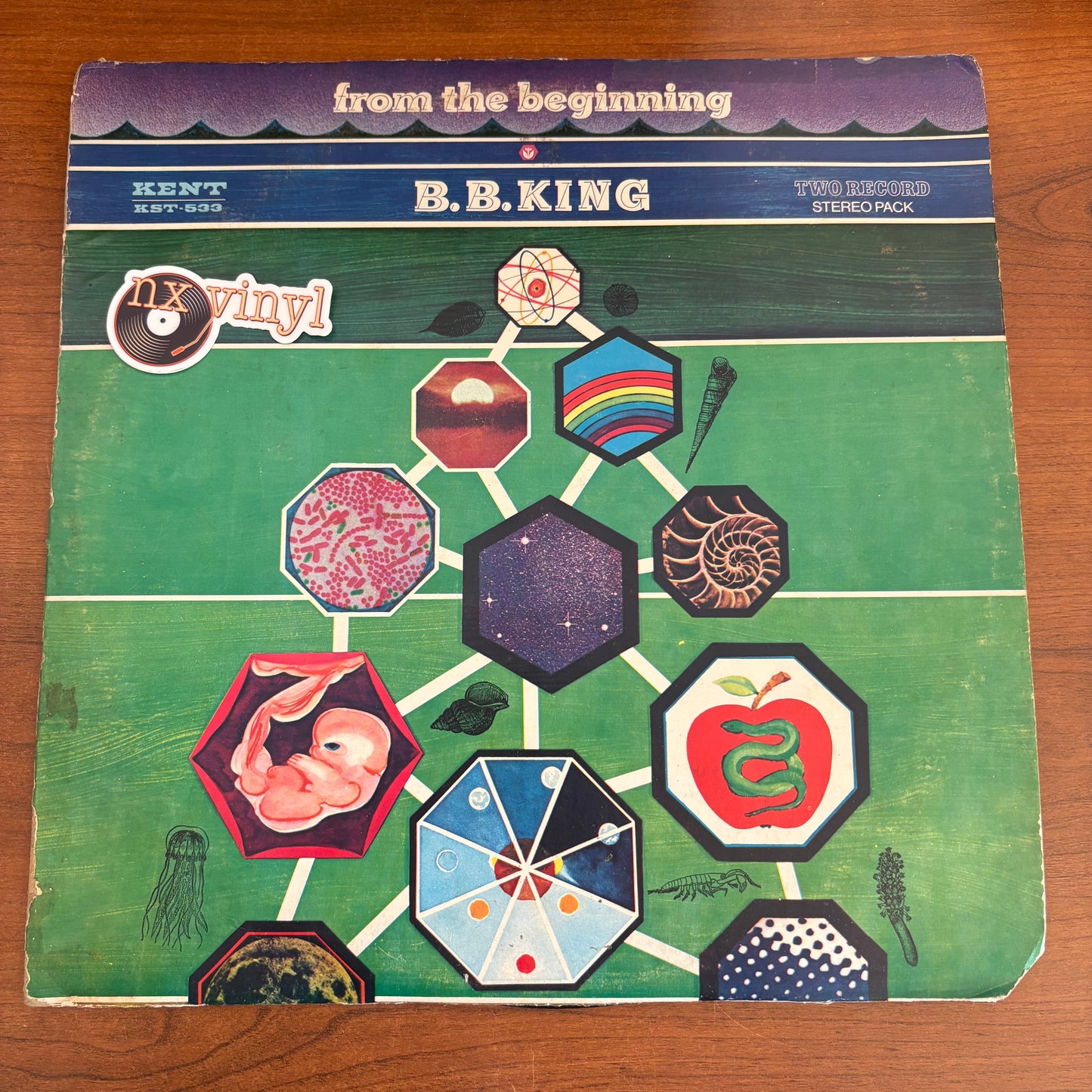 B.B. King - From the Beginning