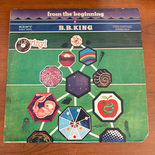 B.B. King - From the Beginning