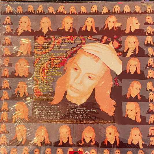 Eno - Taking Tiger Mountain (By Strategy)