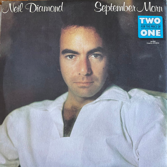 Neil Diamond - I'm Glad You're Here With Me Tonight (rock)