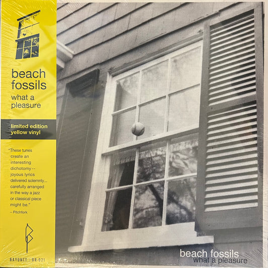 Beach Fossils- What a Pleasure