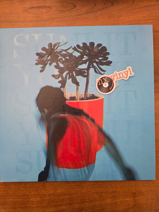 Sunlit Youth - Local Natives (indie rock)